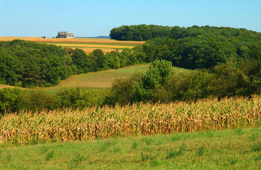 Galen Glen Winery offers spectacular views and exceptional sips in the Lehigh Valley. | Hub Wilson for Discover Lehigh Valley