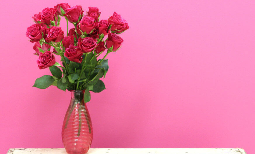 Looking for love? Maybe your space needs a pop of pink. | Provided