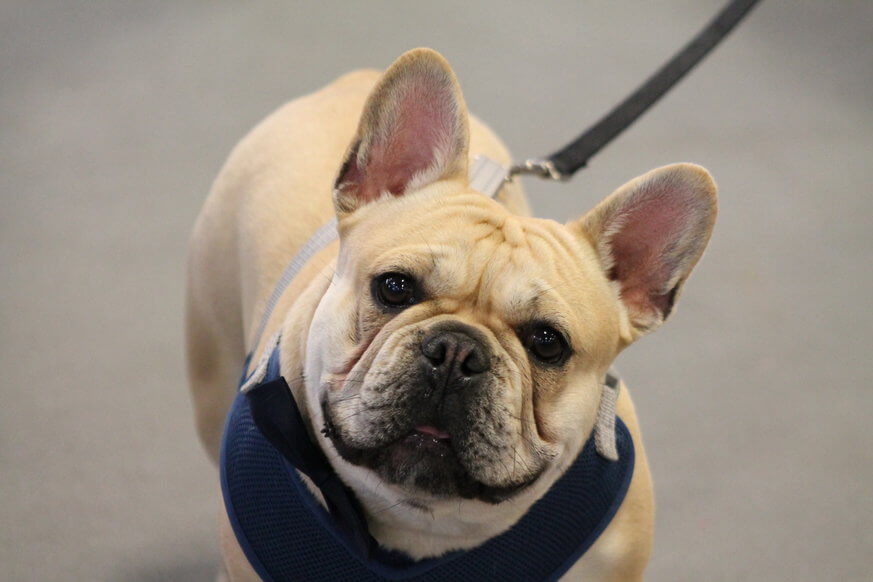You can even bring your pet as long as they are well-behaved and leashed. | Nancy Hassel