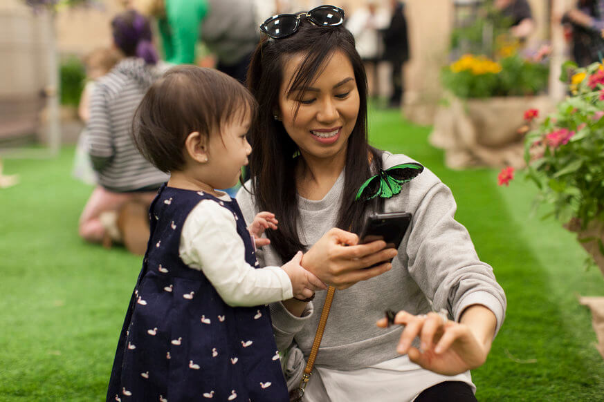 Hang out with butterflies at the Philadelphia Flower Show. | Provided