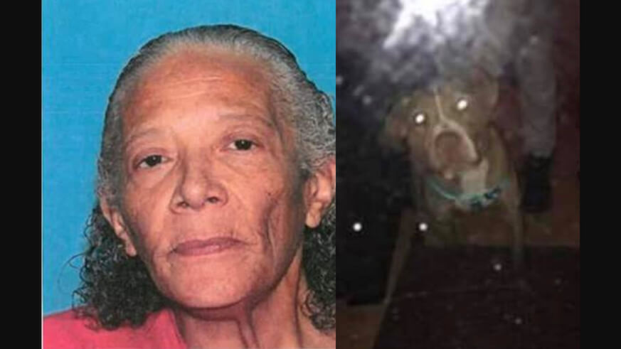 Norristown woman let dog freeze to death: DA
