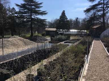 At Greenland Nursery, city preserves future for native trees