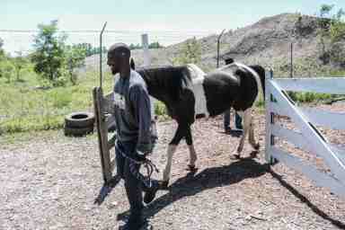 Southwest Philly urban cowboy finds new home with Bartram’s Garden