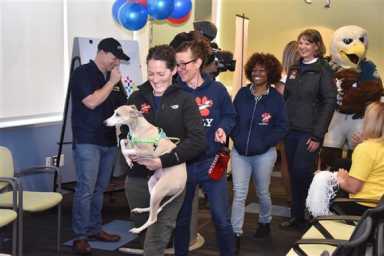 Did you attend the NRG Gives 2018 kickoff? | HughE Dillon