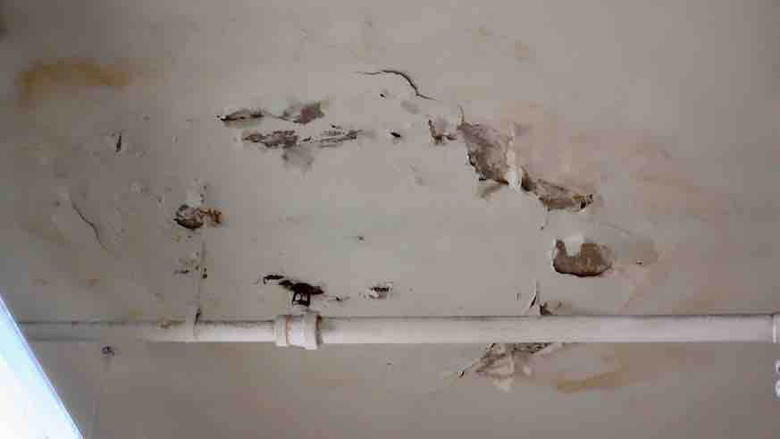 Students at risk from lead, asbestos and mold in School District buildings