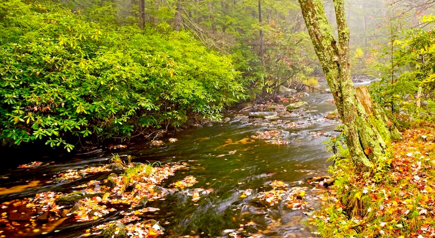 Pennyback Creek Pennsylvania Flash Flood