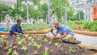 Farm for the City will run through Sept. 29 in Philadelphia. | PHS