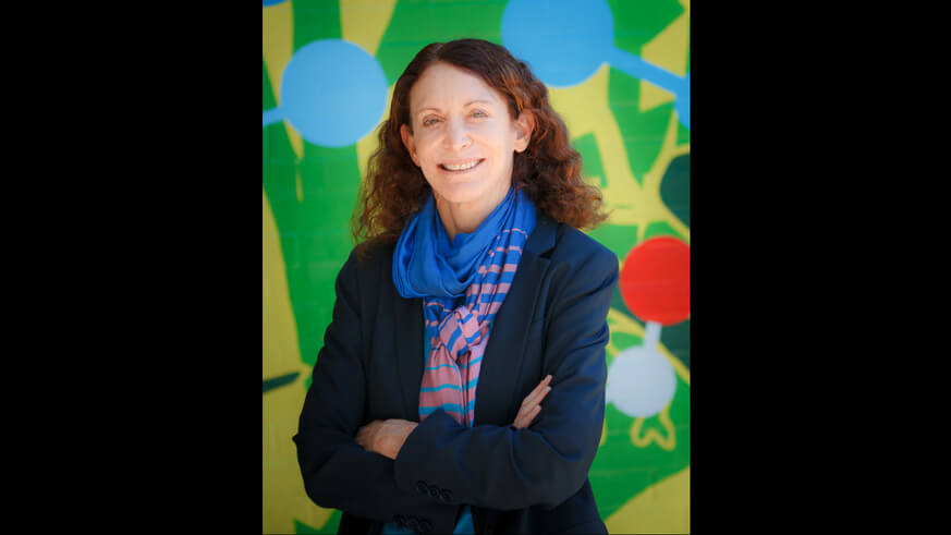 Jane Golden is the executive director of Mural Arts. | Steve Weinik