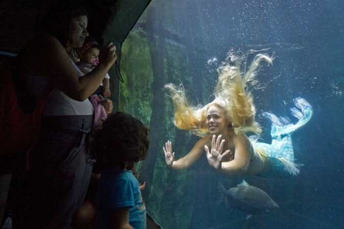 Camden Adventure Aquarium 