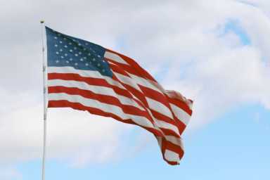 Veterans Day specials
