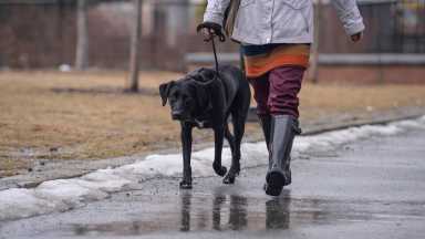 Victim killed with punch in South Philly dog-walking dispute identified