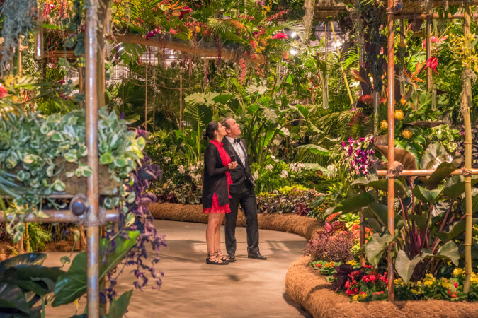 Philadelphia Flower Show 