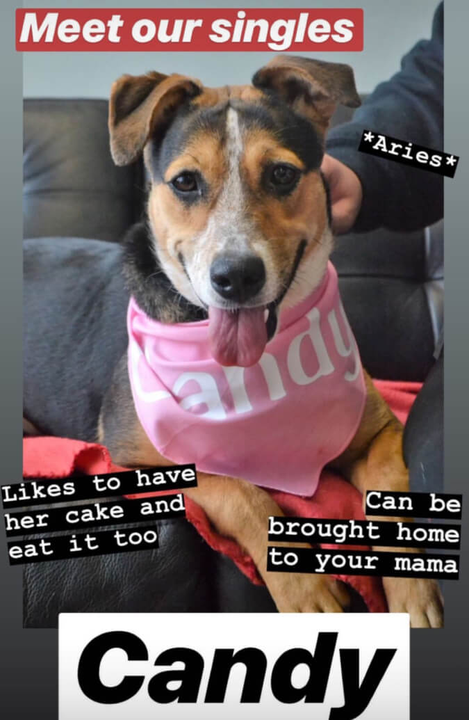PSPCA