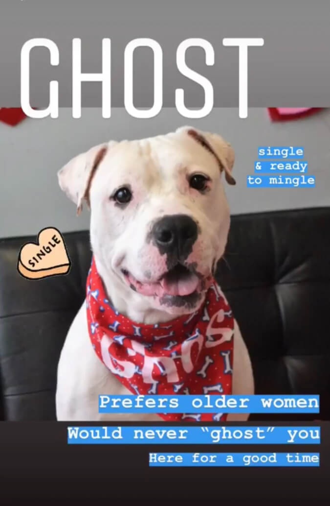 PSPCA