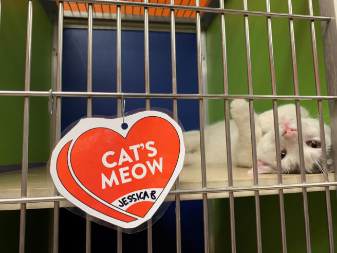 PSPCA