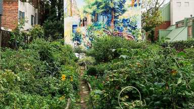 philadelphia community garden