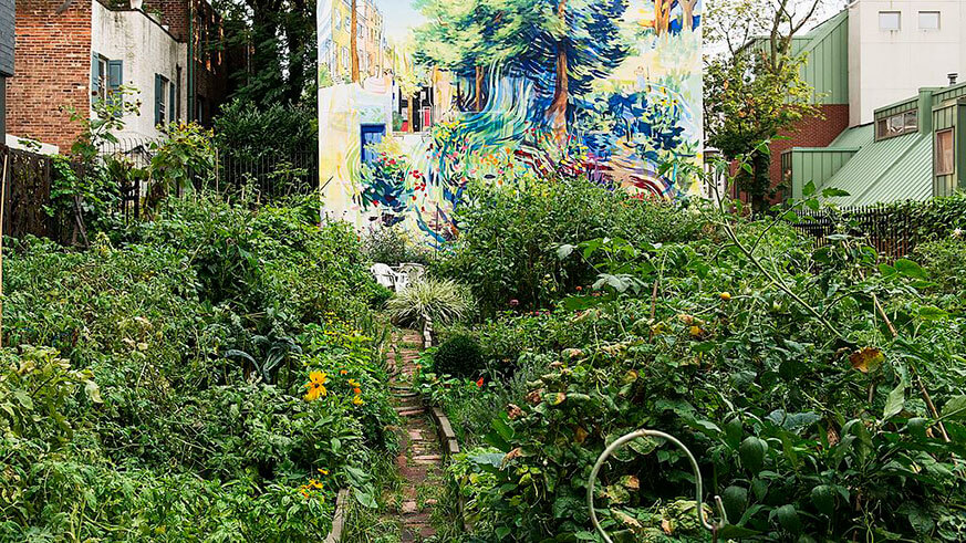 philadelphia community garden