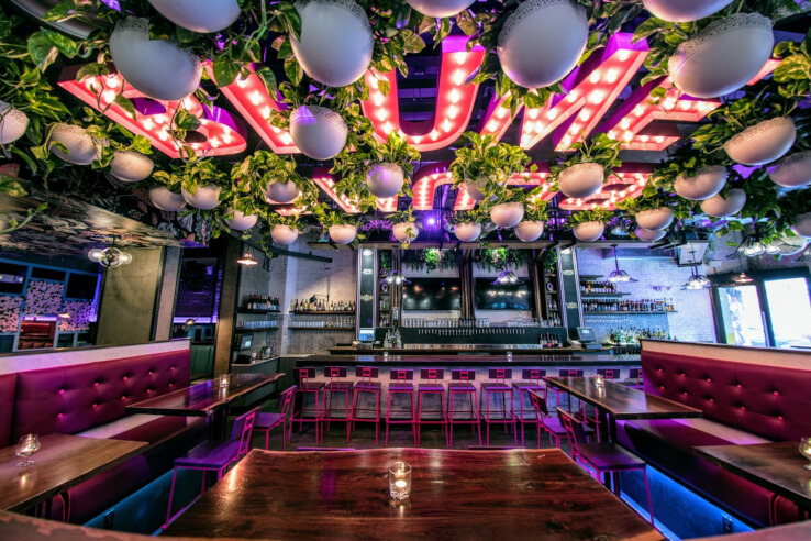Blume Philly