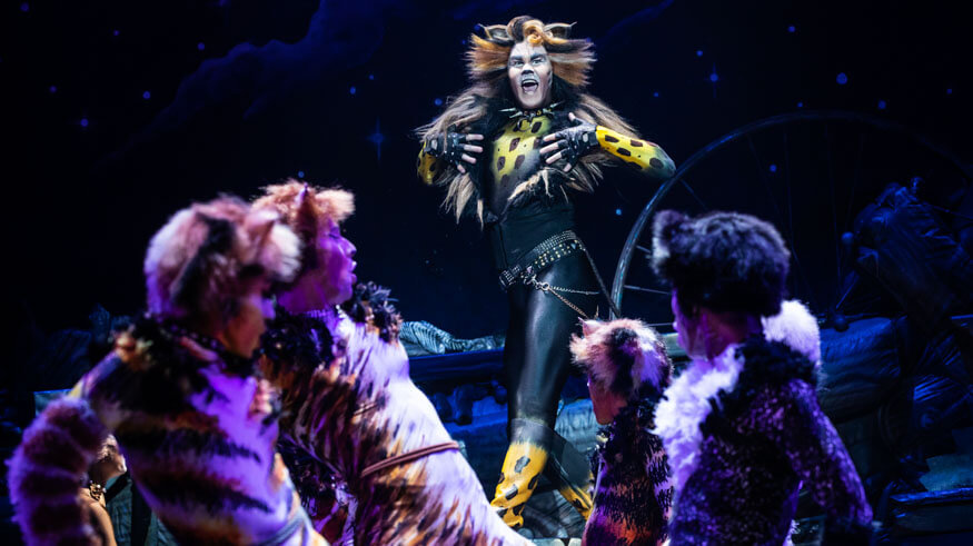 CATS American Tour