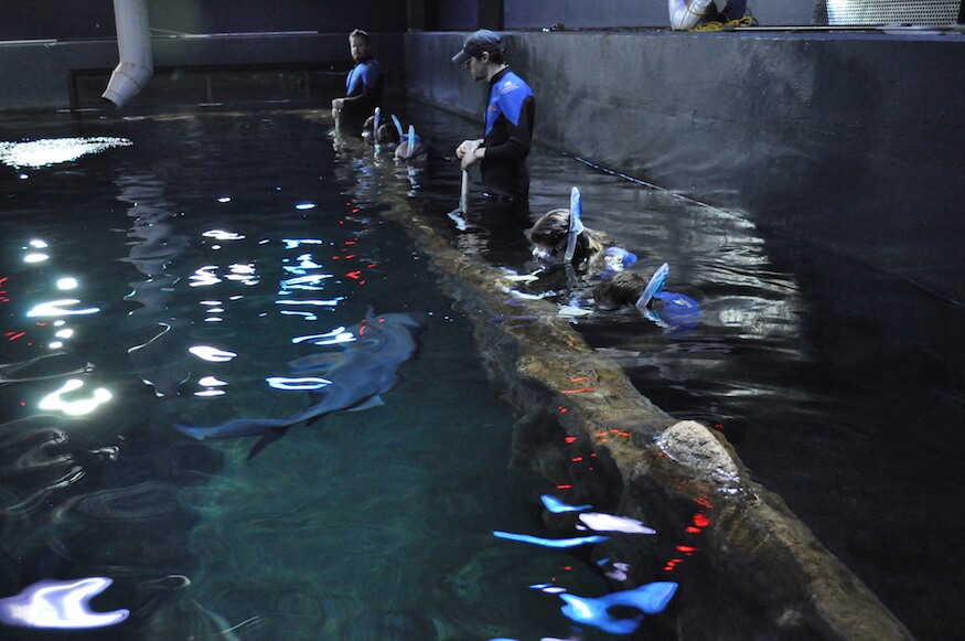 Adventure Aquarium in Camden, New Jersey 