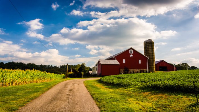 Farm grant program