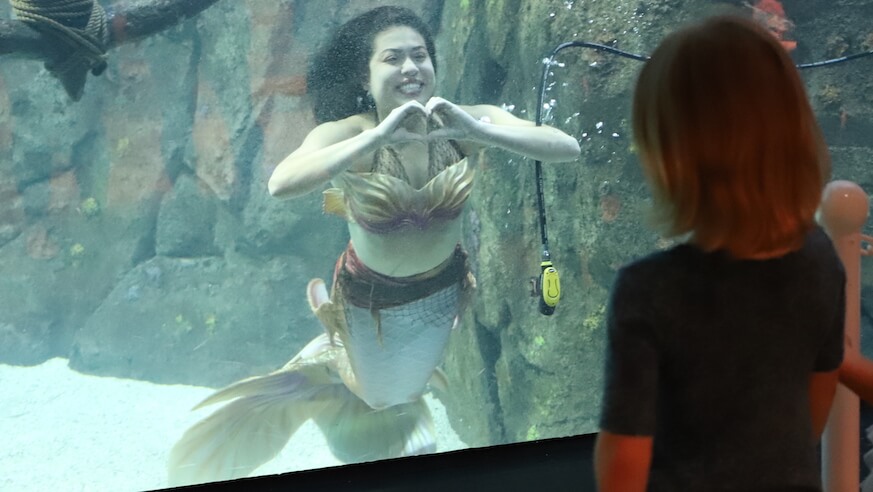 Everything you need to know about Mermaids at the Adventure Aquarium
