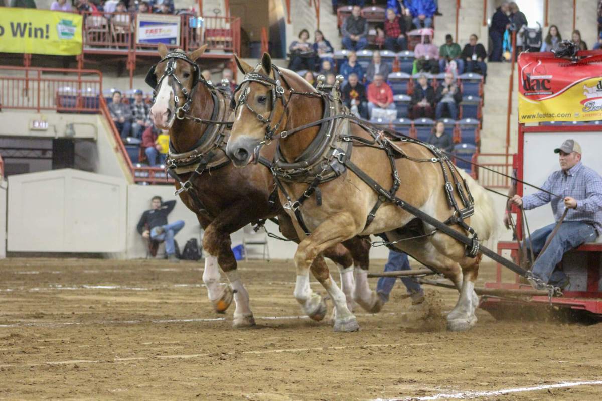 PA Farm Show hosts a sing-off competition