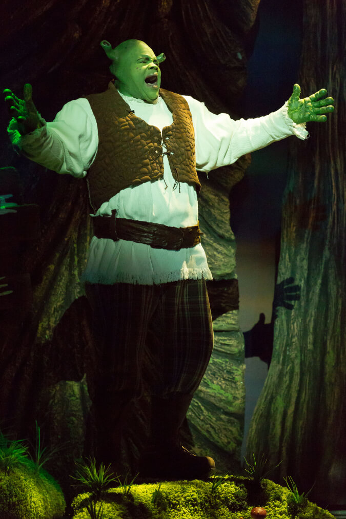 Shrek the Musical 