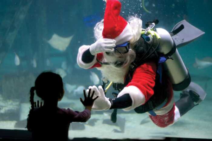 Camden Adventure Aquarium