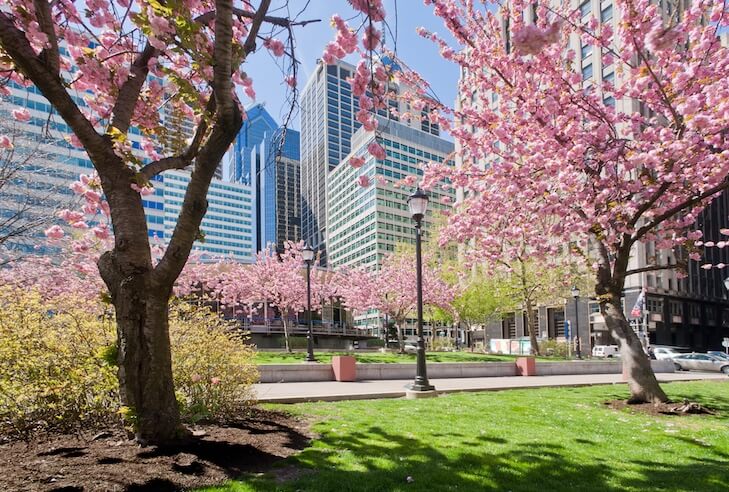 Philly releases first urban forest plans