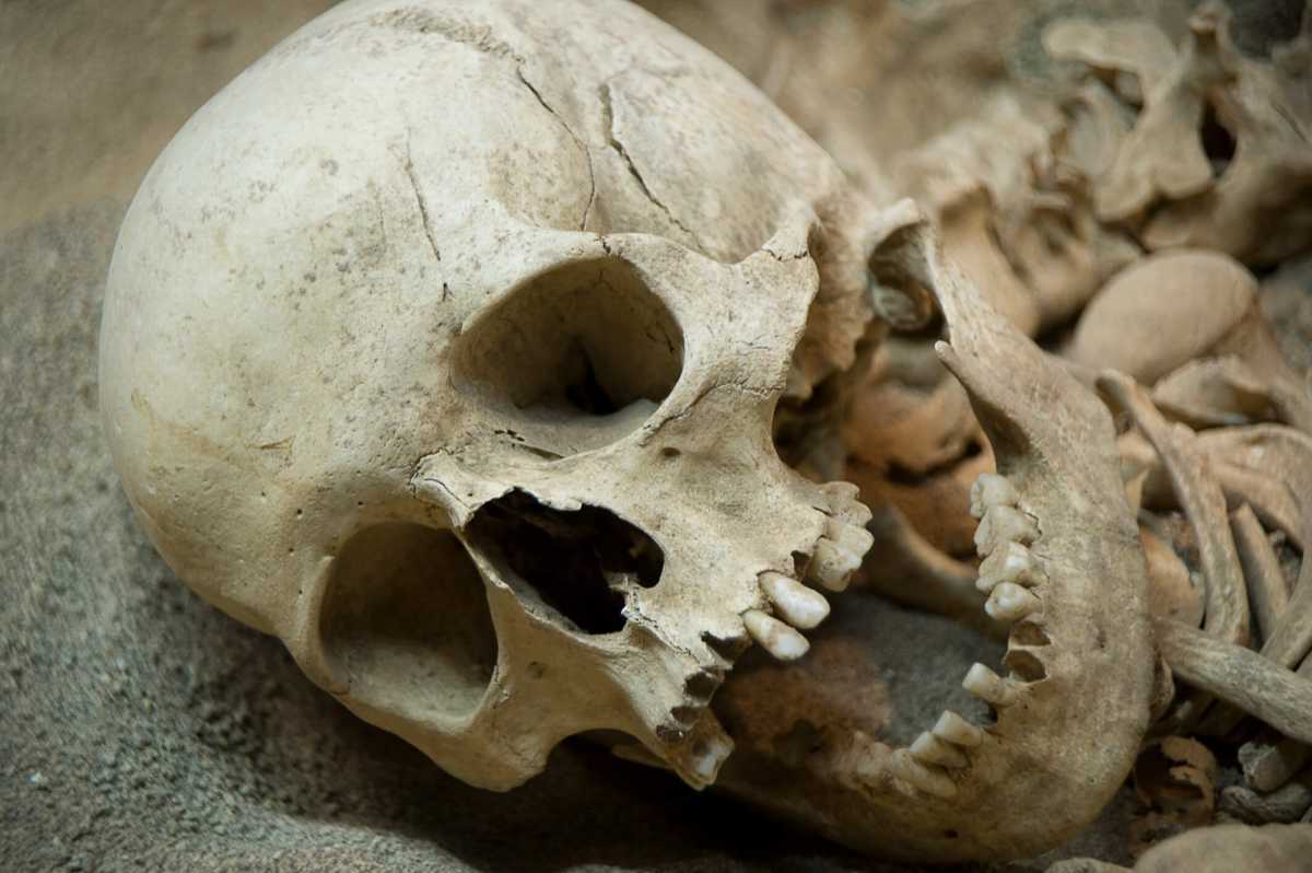 Human skull found, police want help finding the body