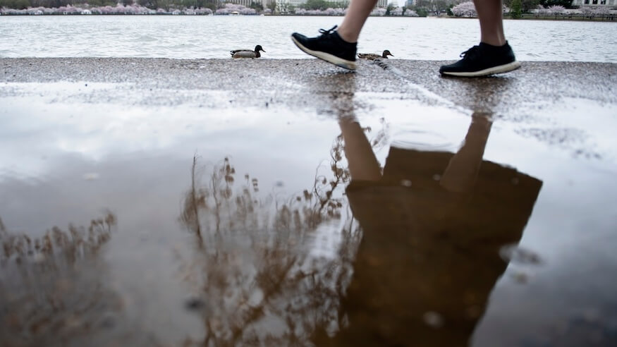 Philly’s weather outlook this week