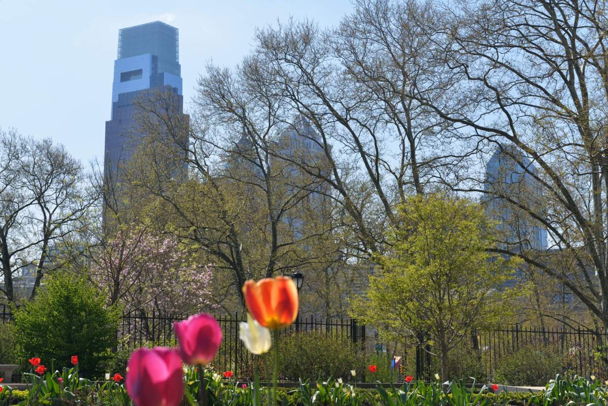 Philadelphia in Spring