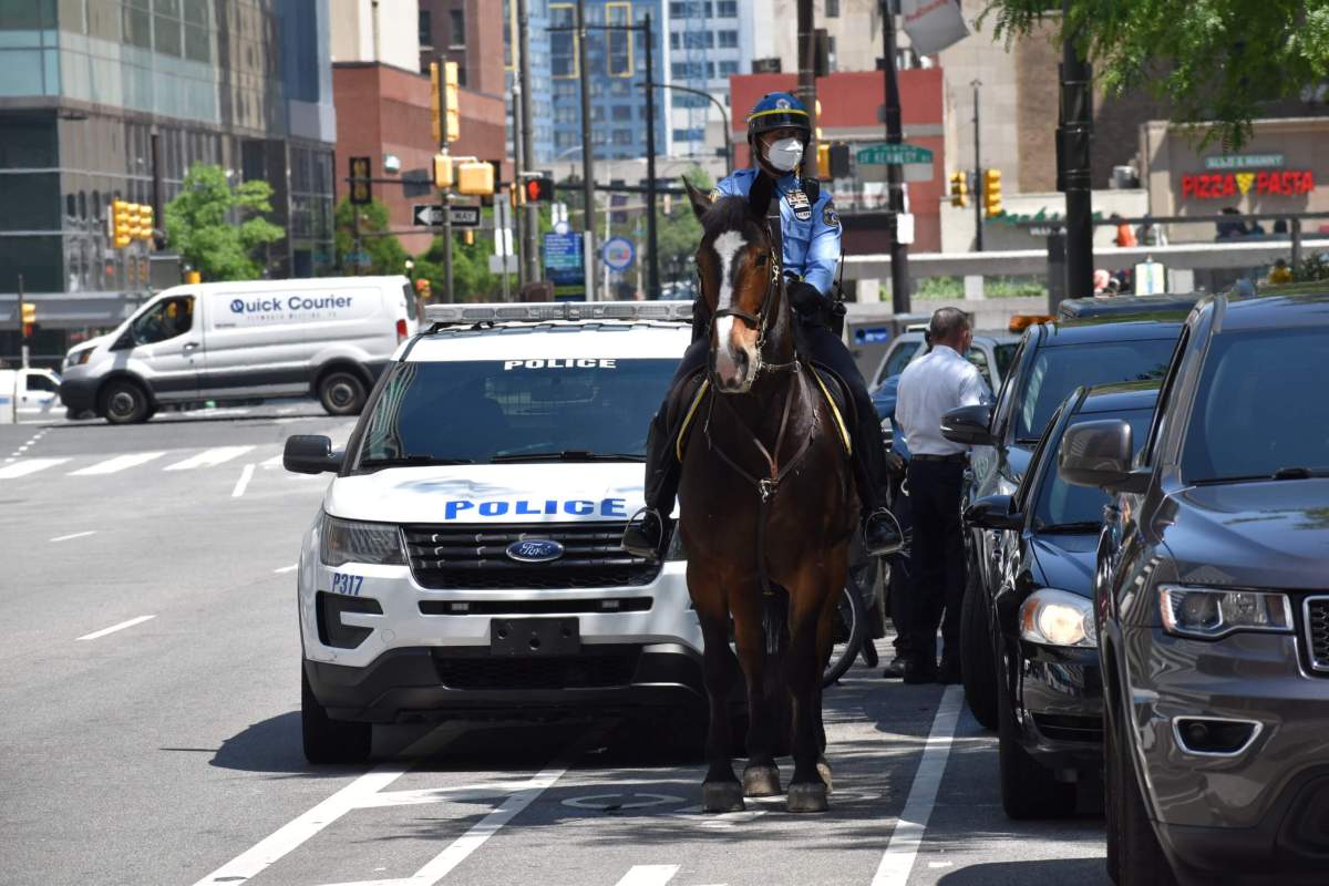 Police horse and masks