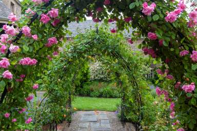 Rose-Garden-May-25-2020-1