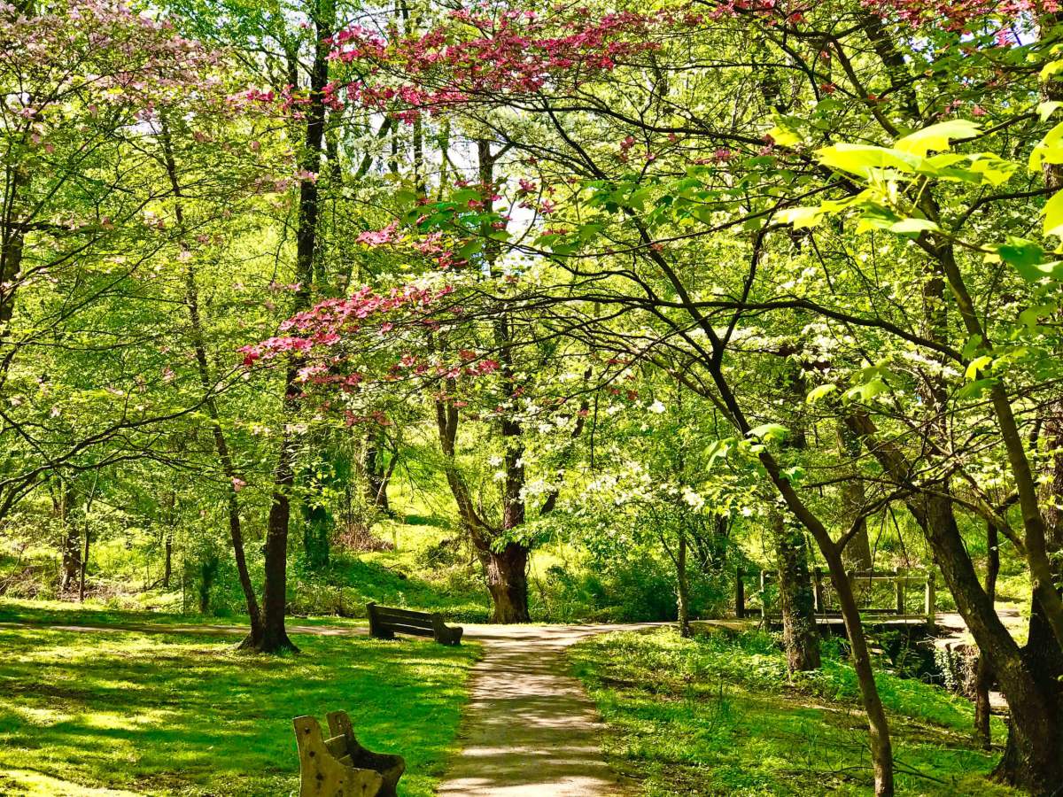 Lansdowne-Glen-Trail-at-Fairmount-Park-Horticulture-Center