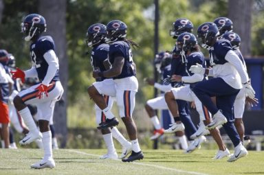 Bears camp