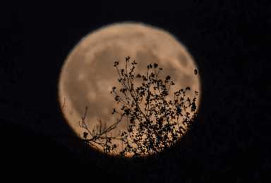 GettyImages-857986718