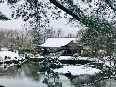 Shofuso-Snow-2