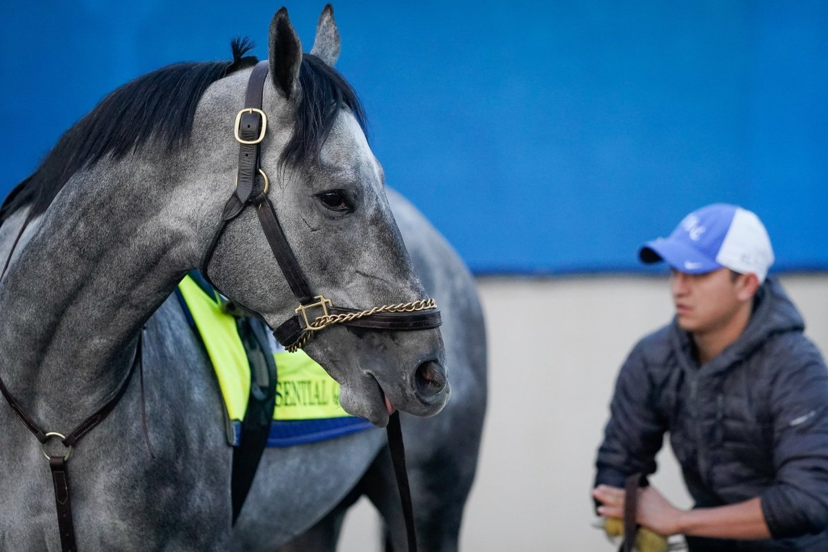 Essential Quality Kentucky Derby