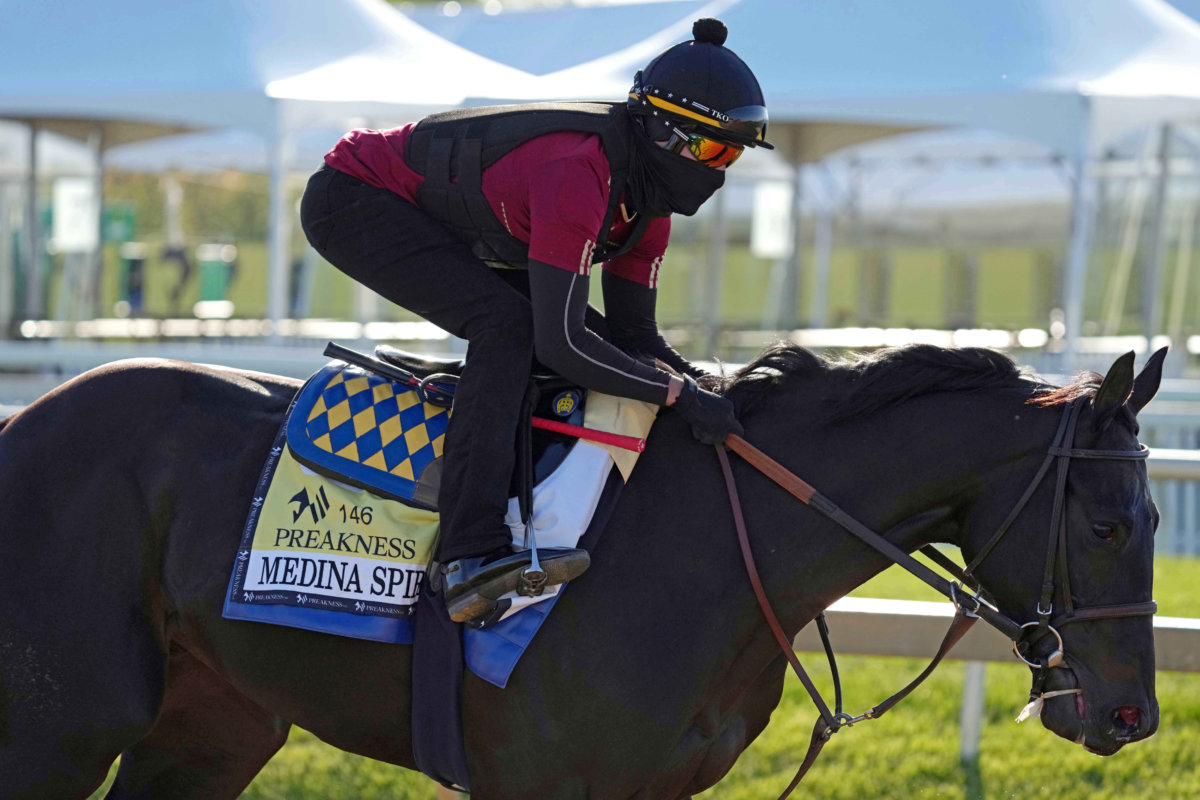 Horse Racing: Preakness-Workouts