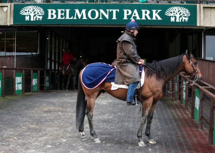 Belmont Stakes 2021