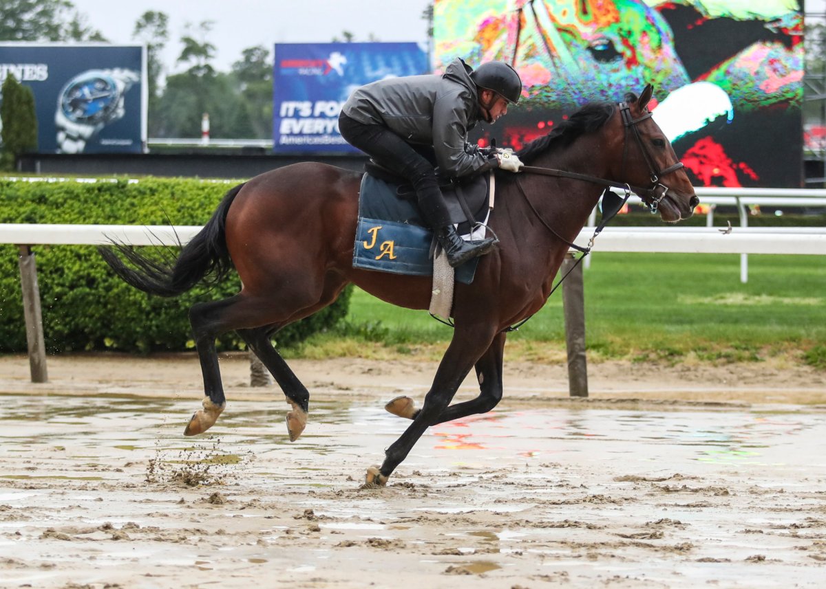 Horse Racing: Belmont-Workouts