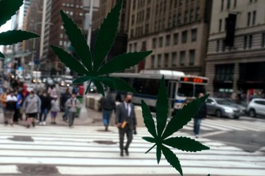 FILE PHOTO: Cannabis stickers on a Weed World store window are pictured the day New York State legalized recreational marijuana use in New York City