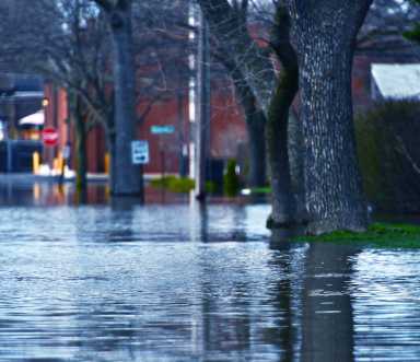 Flooded residential street at a stop sign