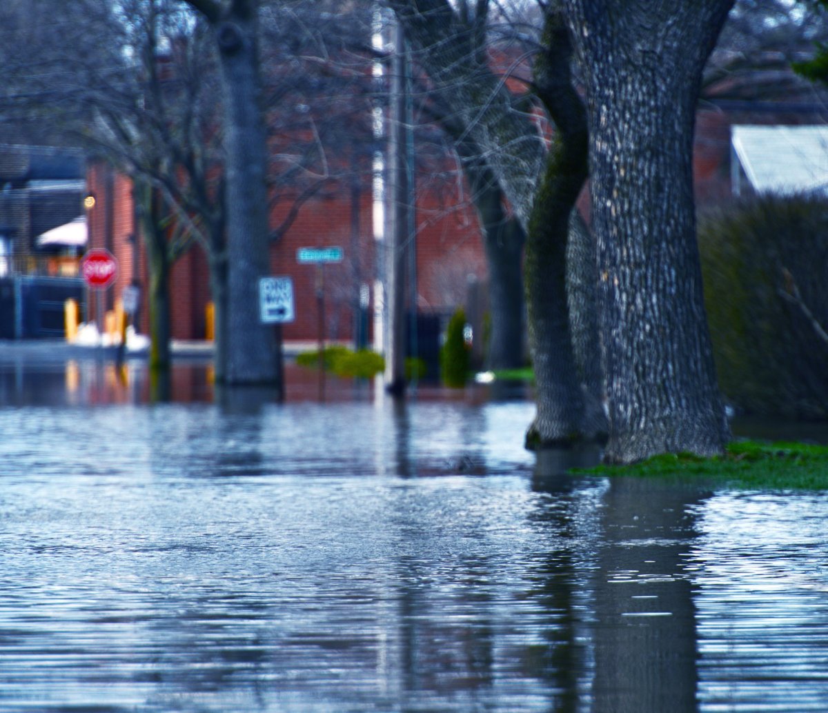 Flooded residential street at a stop sign