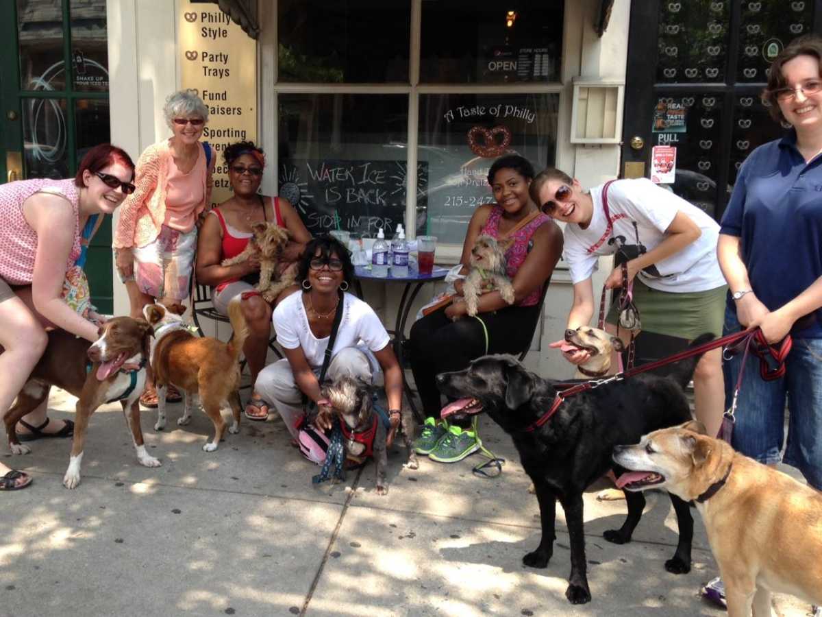 Dog-Days-group-A-Taste-of-Philly