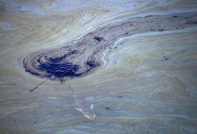 Oil spill off the coast of California has come ashore in Huntington beach