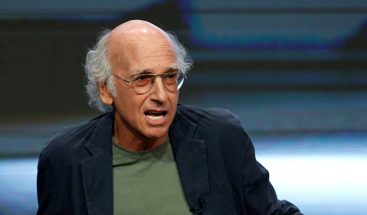 FILE PHOTO: Cast member David attends a panel for the television series “Curb Your Enthusiasm” during the TCA HBO Summer Press Tour in Beverly Hills