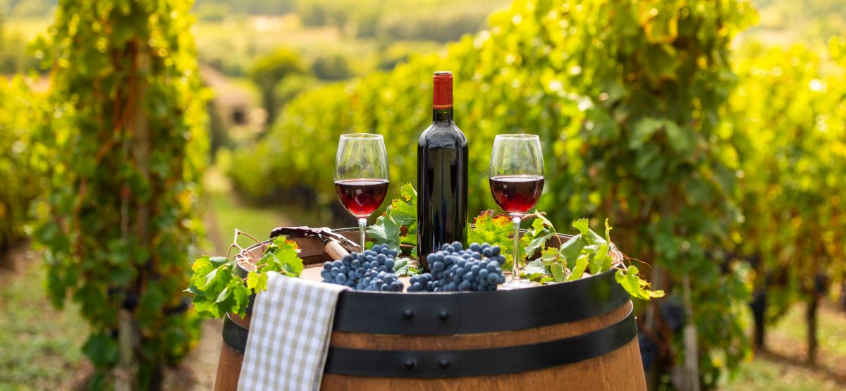 Pouring red wine into the glass, Barrel outdoor in Bordeaux Vineyard